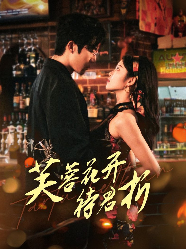 芙蓉花开待君折第01-30集