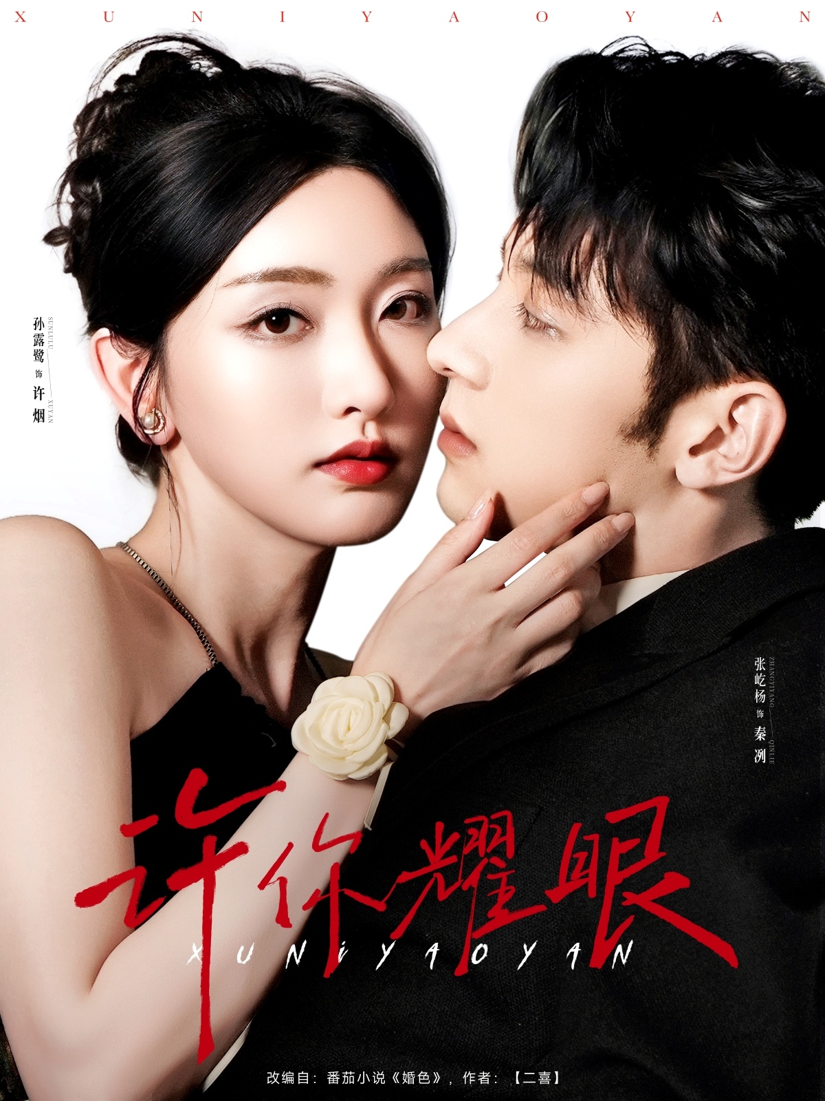 许你耀眼(全集)