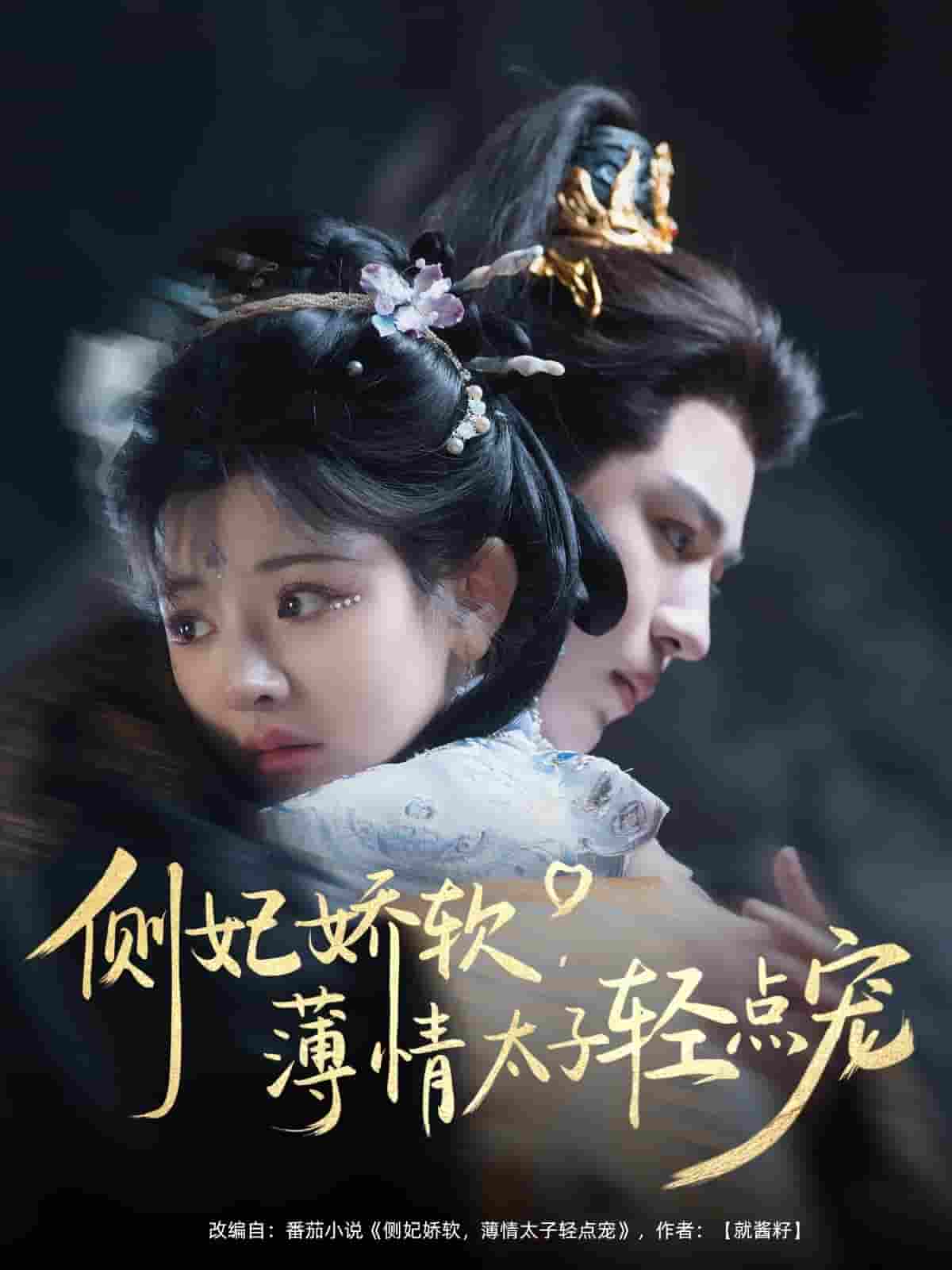 侧妃娇软薄情太子轻点宠(全集)