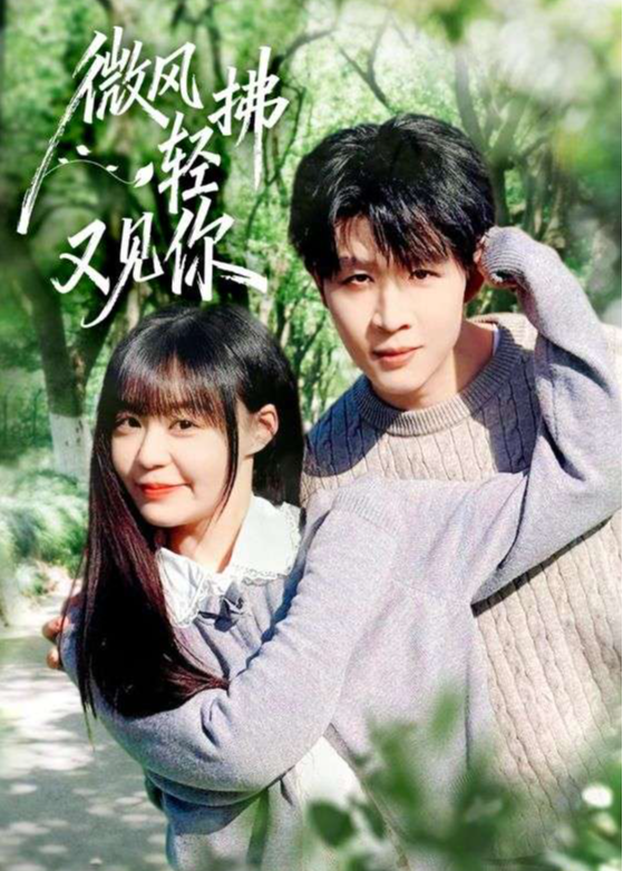 微风轻拂又见你(全集)